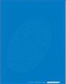 Annual Report 2008